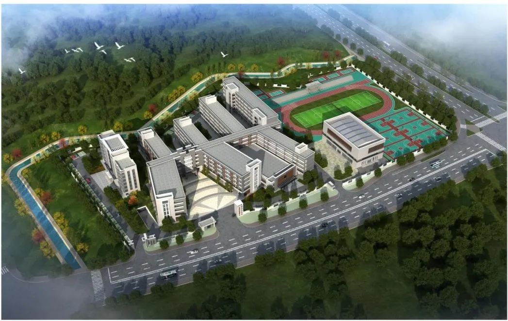 龍景5小5 龍景5小5