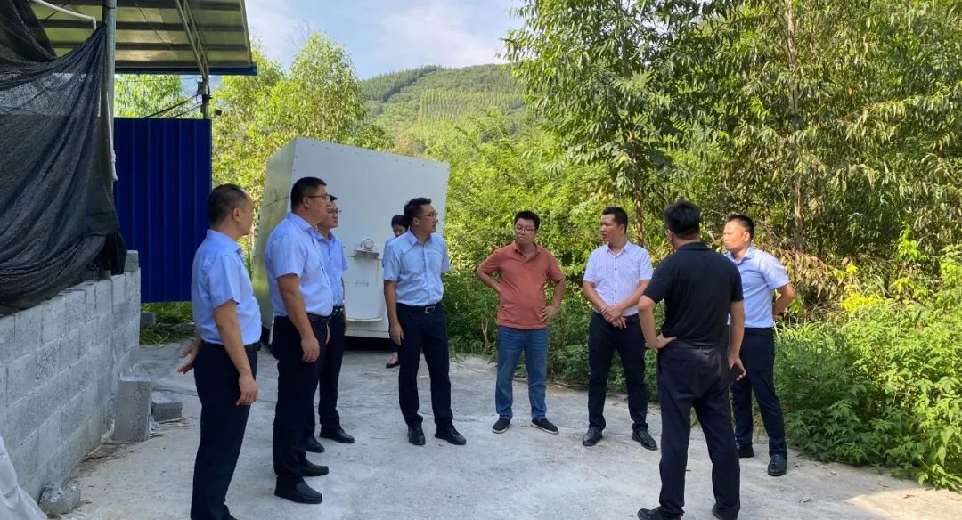 村集體經(jīng)濟3 村集體經(jīng)濟3