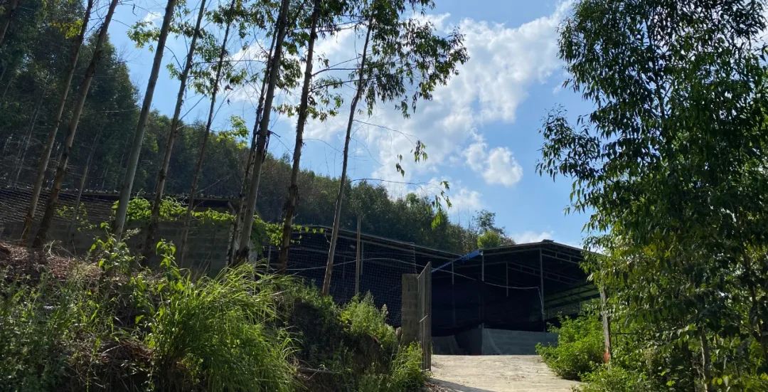 村集體經(jīng)濟4 村集體經(jīng)濟4