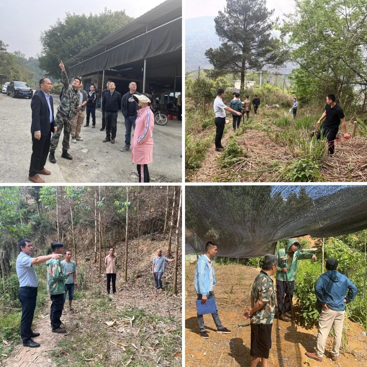 微信圖片_20230921092457 微信圖片_20230921092457