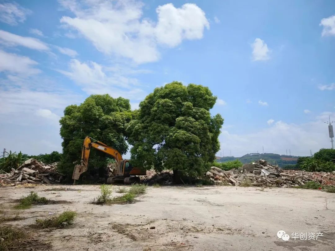 微信圖片_20230922154929 微信圖片_20230922154929