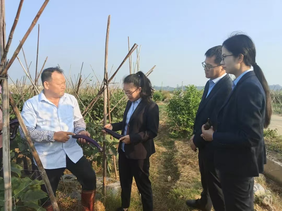 a3357614efa8d2da327e33a204aec8f a3357614efa8d2da327e33a204aec8f